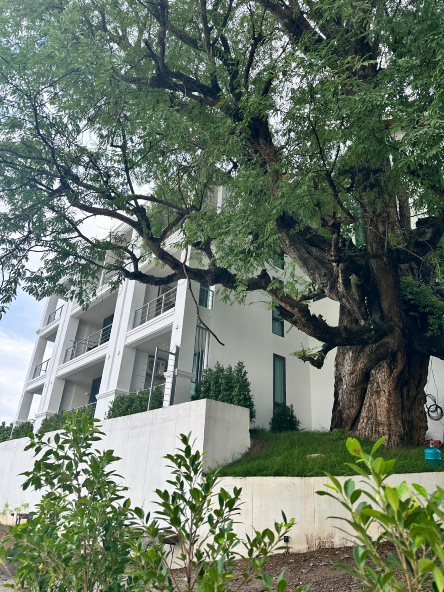 Sokview Residence Luang Prabang Exterior foto